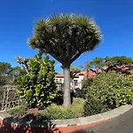 Apartamerica 471, Gartenwohnung, Pool, 150 M Zum Strand, Americas Апартаменти *