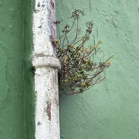 Apartamerica 471, Gartenwohnung, Pool, 150 M Zum Strand, Americas Apartamento Costa Adeje (Tenerife)