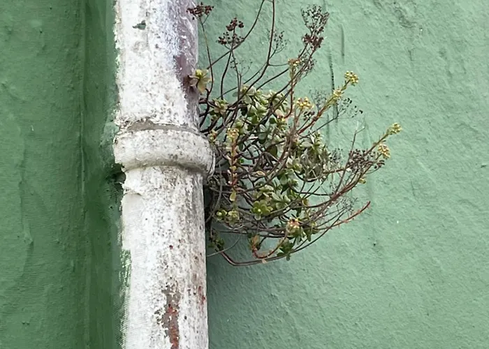 Apartamerica 471, Gartenwohnung, Pool, 150 M Zum Strand, Americas Appartement Costa Adeje (Tenerife)