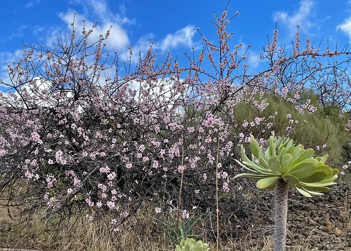 Apartamerica 471, Gartenwohnung, Pool, 150 M Zum Strand, Americas *