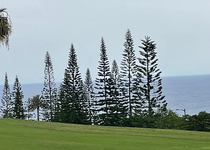 Apartamerica 471, Gartenwohnung, Pool, 150 M Zum Strand, Americas Costa Adeje (Tenerife)