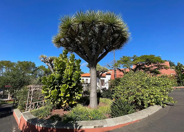 Apartamerica 471, Gartenwohnung, Pool, 150 M Zum Strand, Americas Appartement *