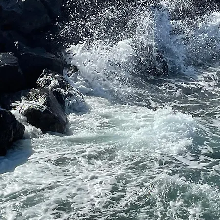 Apartamerica 471, Gartenwohnung, Pool, 150 M Zum Strand, Americas Appartement