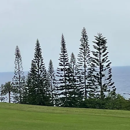 Apartamerica 471, Gartenwohnung, Pool, 150 M Zum Strand, Americas Costa Adeje (Tenerife)