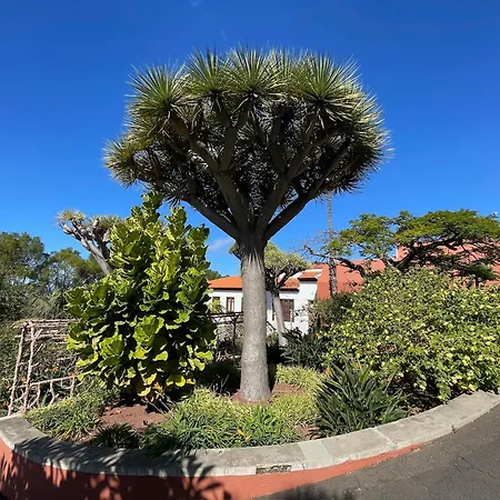 Apartamerica 471, Gartenwohnung, Pool, 150 M Zum Strand, Americas Appartement *