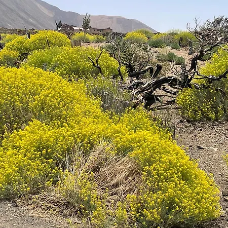 Apartamerica 471, Gartenwohnung, Pool, 150 M Zum Strand, Americas