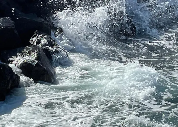 Apartamerica 471, Gartenwohnung, Pool, 150 M Zum Strand, Americas Apartment